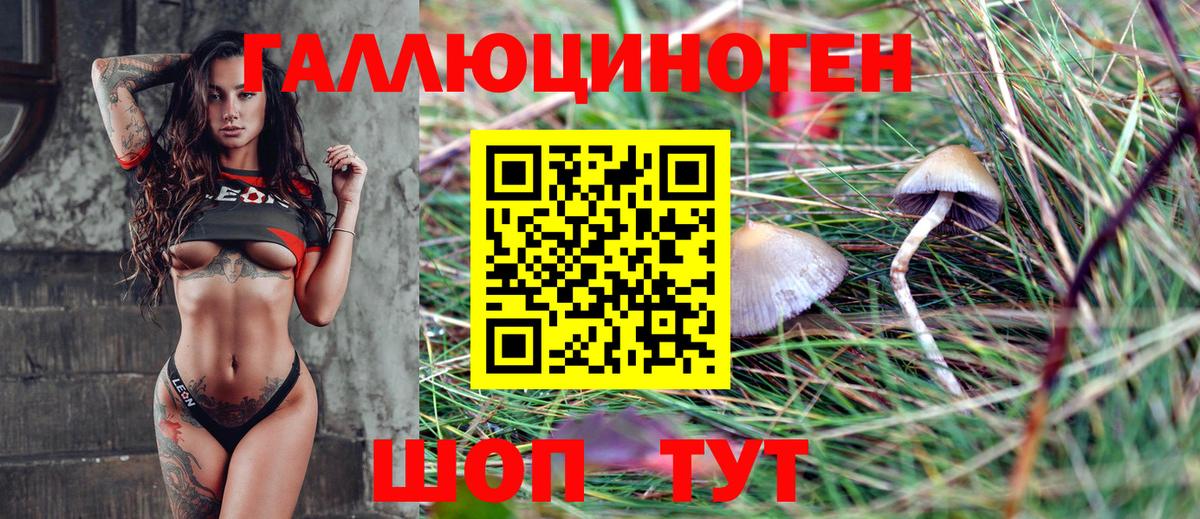 Галлюциногенные грибы мухоморы  Вход с VPN  Новозыбков 